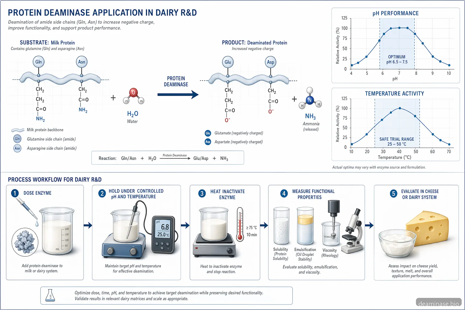protein deaminase supplier for dairy mechanism diagram with deamidation reaction, pH curves, and trial workflow